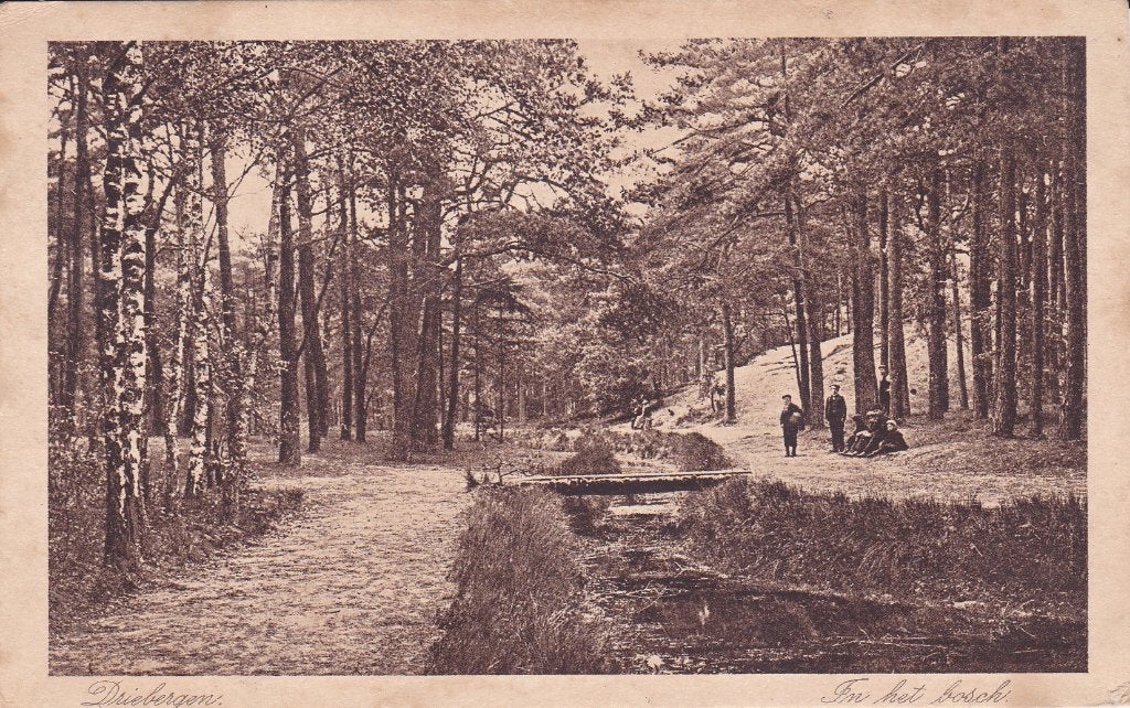 Driebergen. Oude ansichtkaart Driebergen - In het Bosch, Verzenden, 1920 tot 1940, Gelopen, Utrecht
