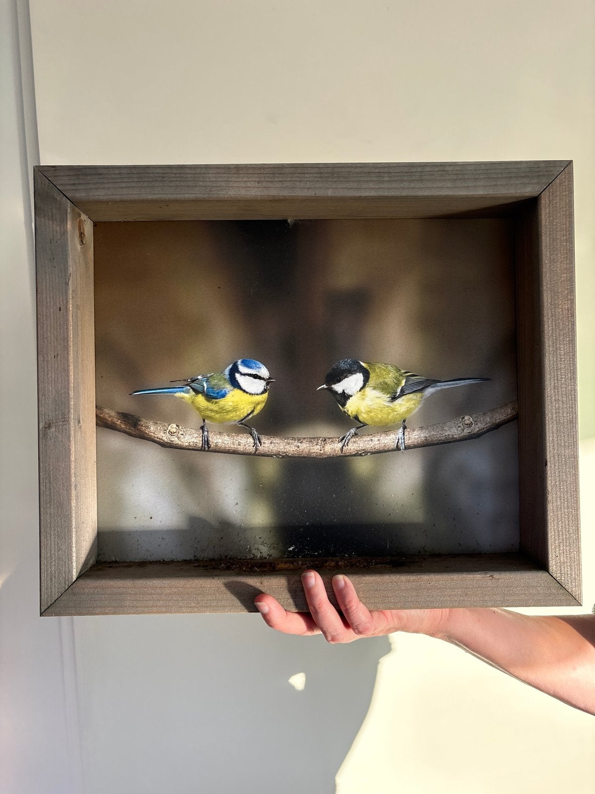 Houten lijst met afbeelding van koolmeesjes, Bruin, Gebruikt, Ophalen of Verzenden, Fotolijst