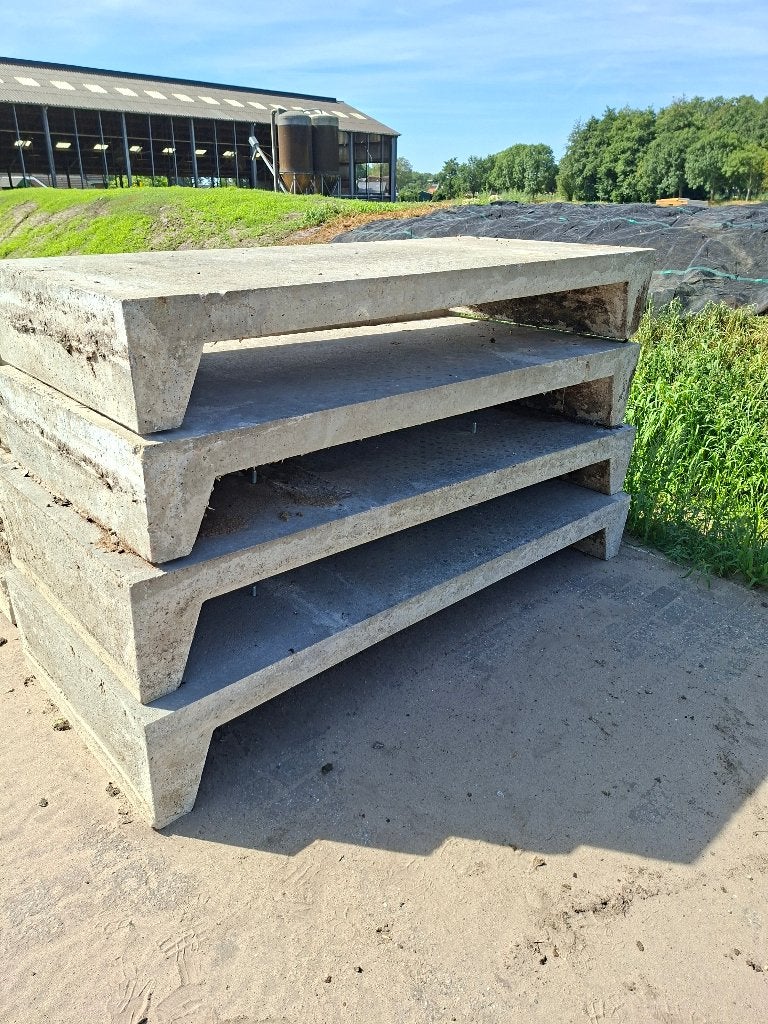 Boxdekken runderen, Dieren en Toebehoren, Geslacht onbekend, Schaap