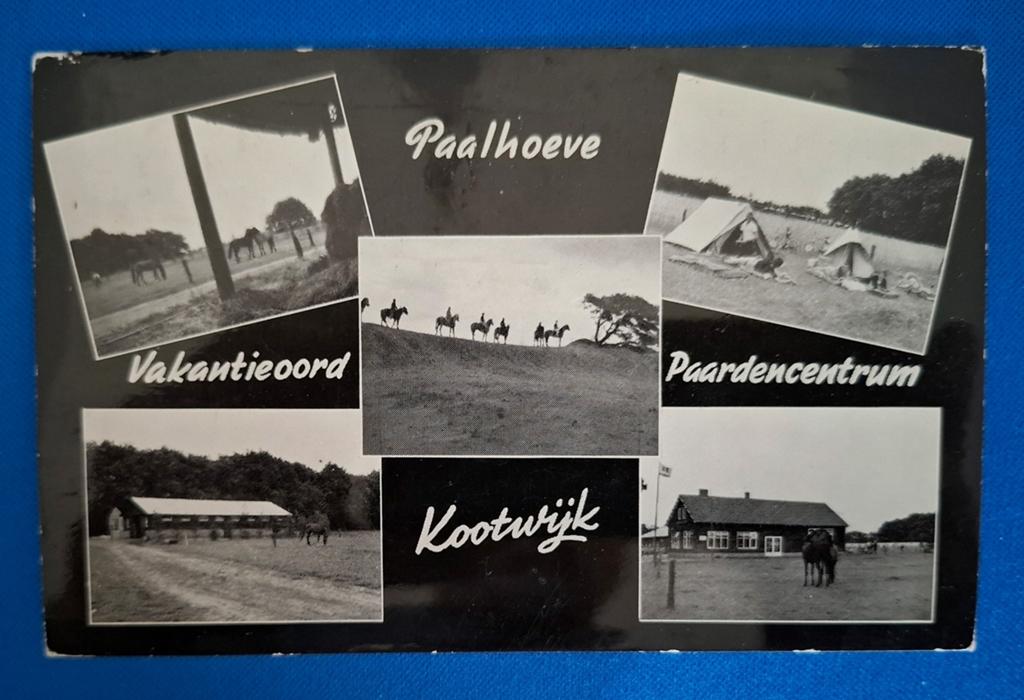 Ansichtkaart Kootwijk Paalhoeve Vakantieoord Paardencentrum, Ophalen of Verzenden, 1960 tot 1980, Gelopen, Gelderland