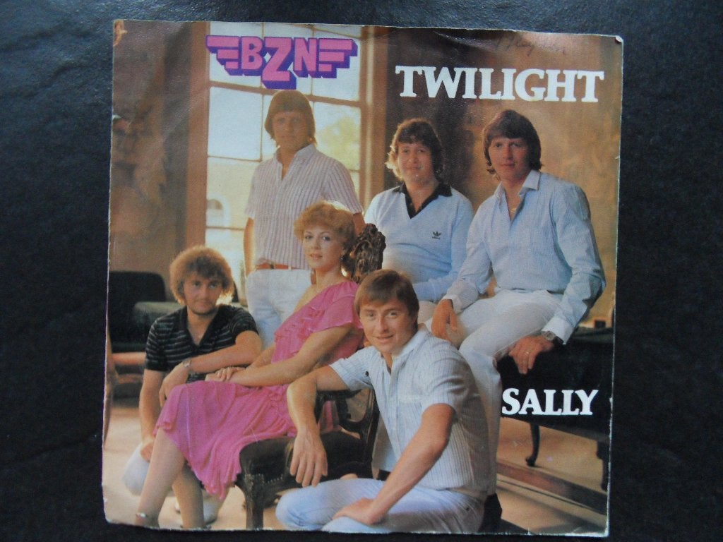 BZN > Twilight / Sally, Ophalen of Verzenden, Gebruikt, Pop
