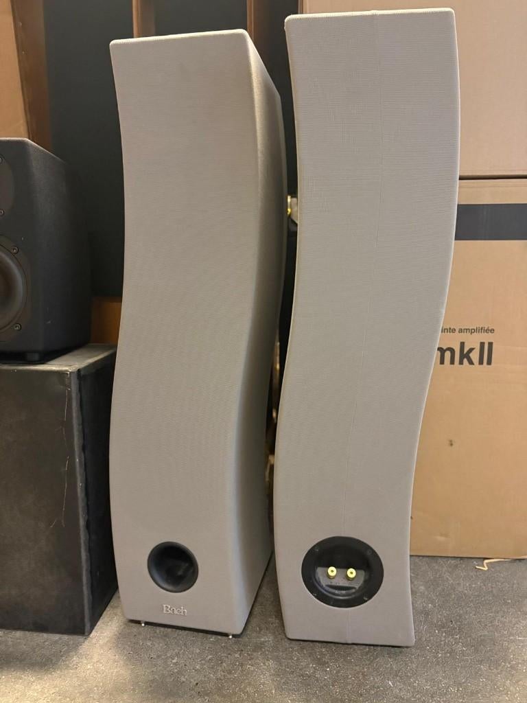 Bach Tango II staande speakers, Gebruikt, 120 watt of meer, Front, Rear of Stereo speakers, Ophalen