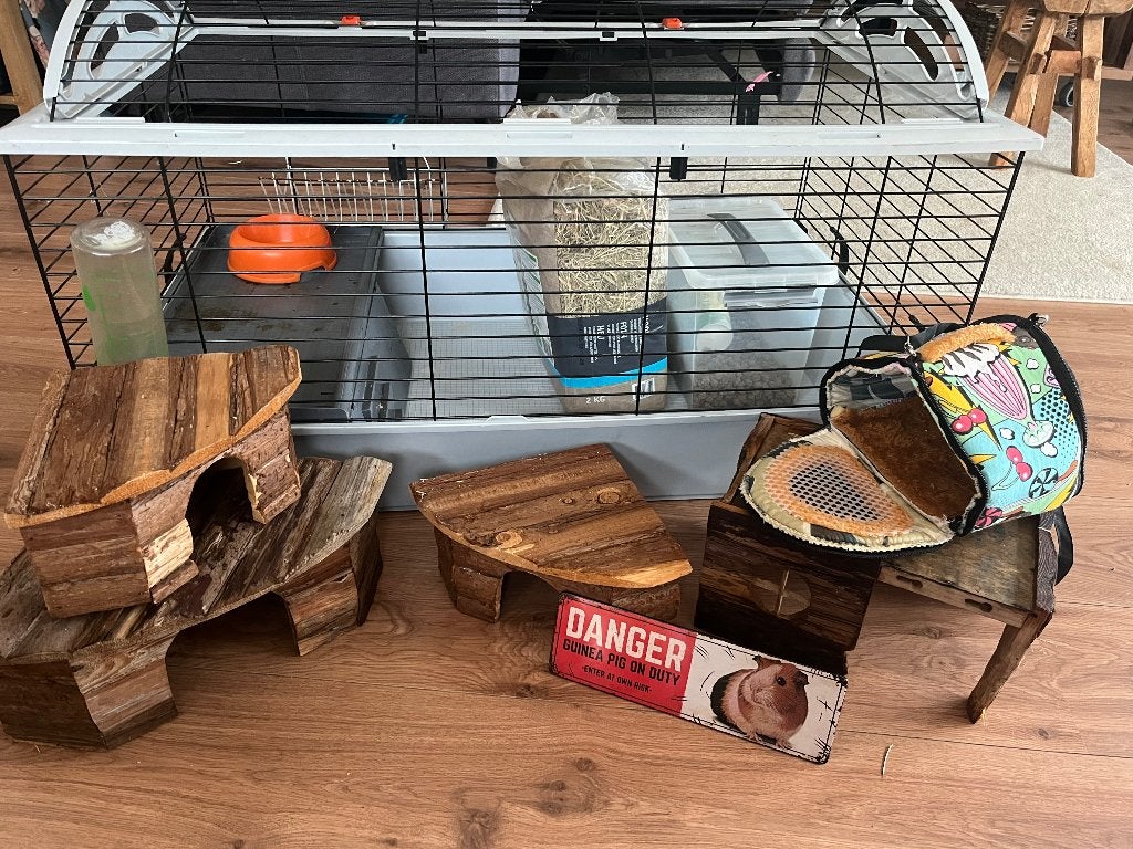Cavia/hamster kooi + accessoires, Kooi, Gebruikt, Muis, 75 tot 110 cm