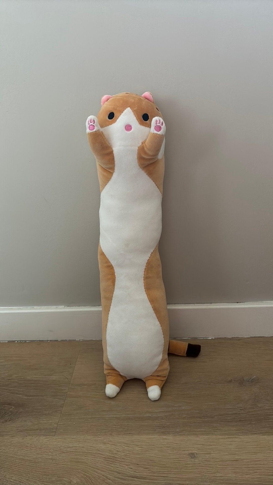 Knuffel kat, Overige merken, Overige karakters, Ophalen of Verzenden, Zo goed als nieuw