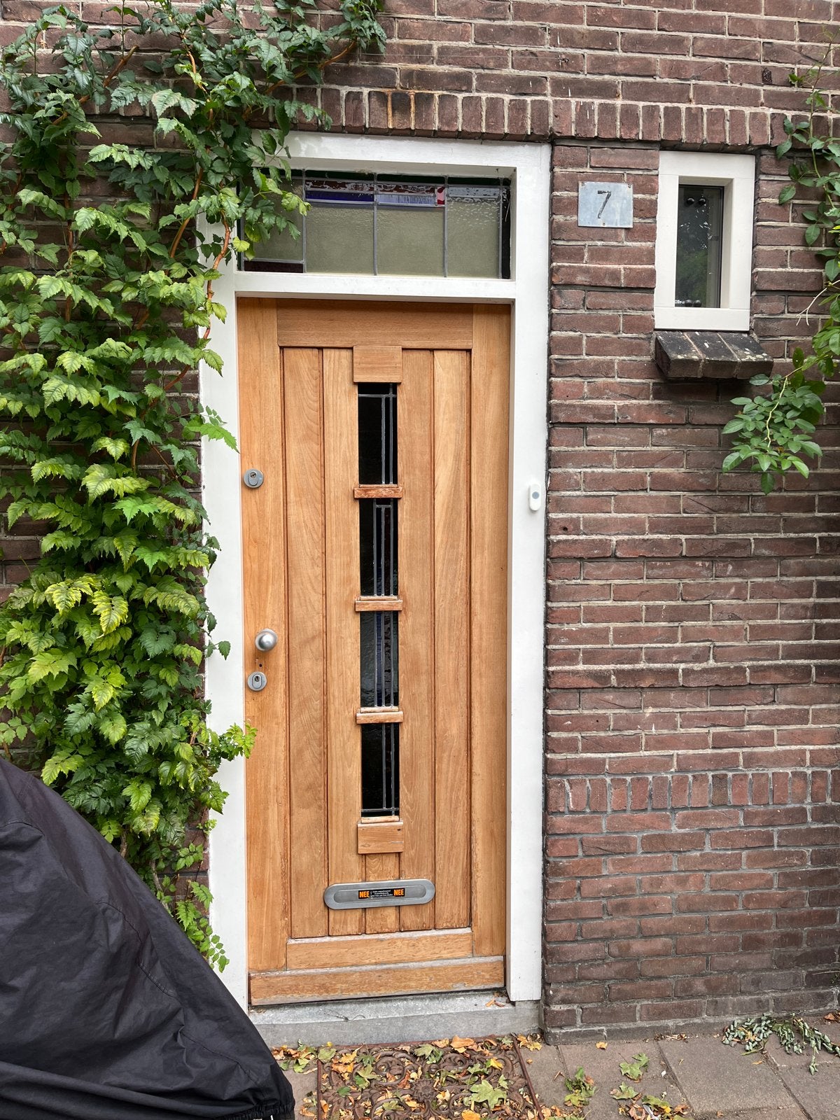 buitendeur met glas in lood, Ophalen, Gebruikt, 80 tot 100 cm, 215 cm of meer
