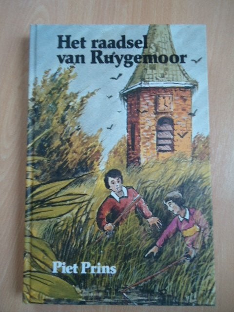 Het raadsel van Ruygemoor, Piet Prins, Ophalen of Verzenden, Gelezen