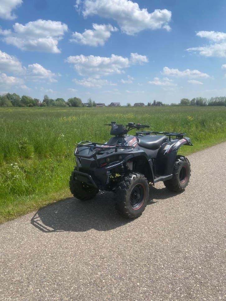 LinHai 300 quad, Motoren, Quads en Trikes, 1 cilinder, 300 cc