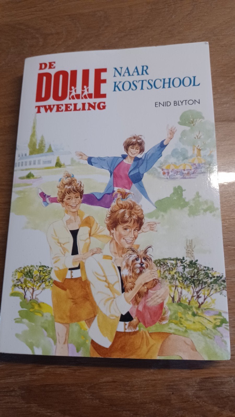 Enid Blyton - Dolle tweeling naar kostschool, Ophalen of Verzenden, Zo goed als nieuw, Enid Blyton, Fictie algemeen