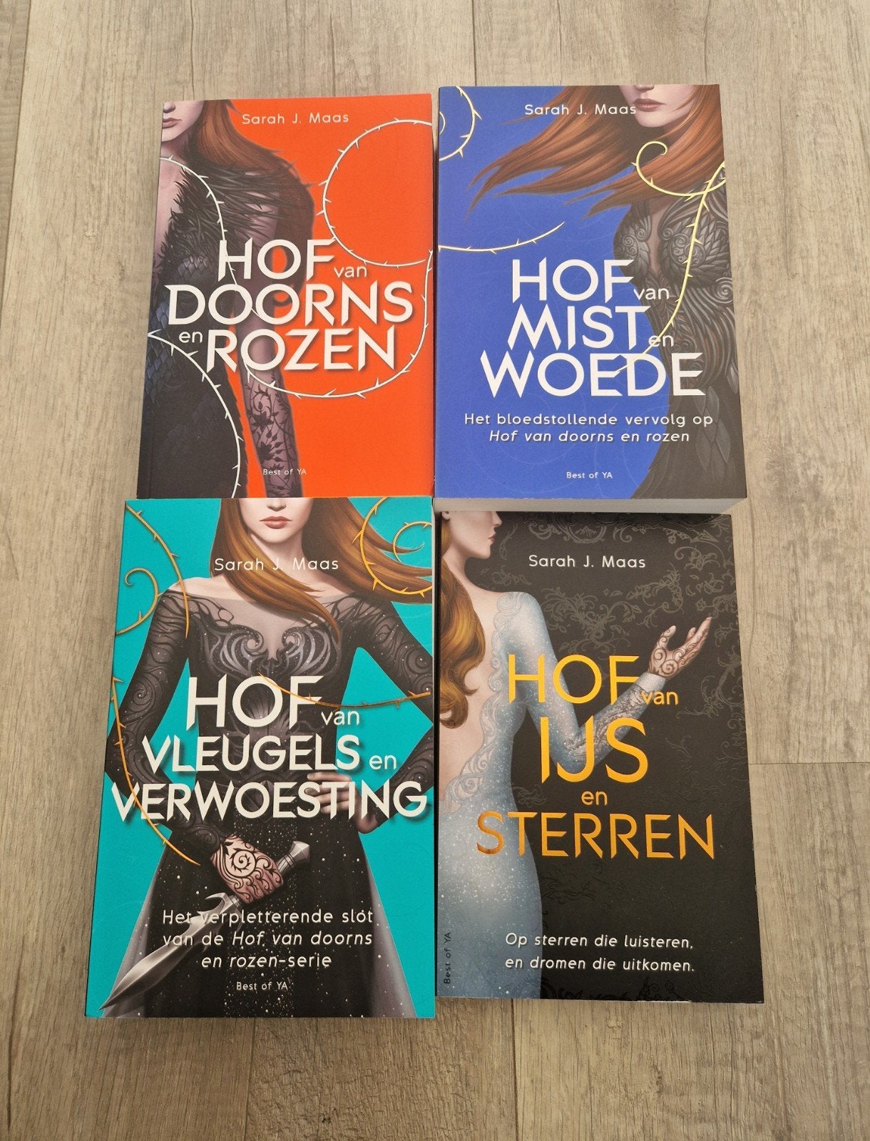Boeken sarah j maas hof van doorns en rozen deel 1 tm 4, Boeken, Fantasy, Ophalen of Verzenden, Zo goed als nieuw