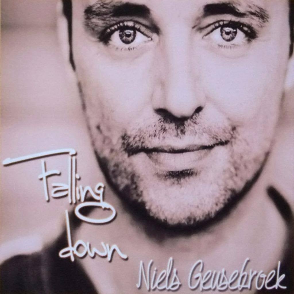 Niels Geusebroek - Falling Down (PROMO), Ophalen of Verzenden, Zo goed als nieuw, Overige genres