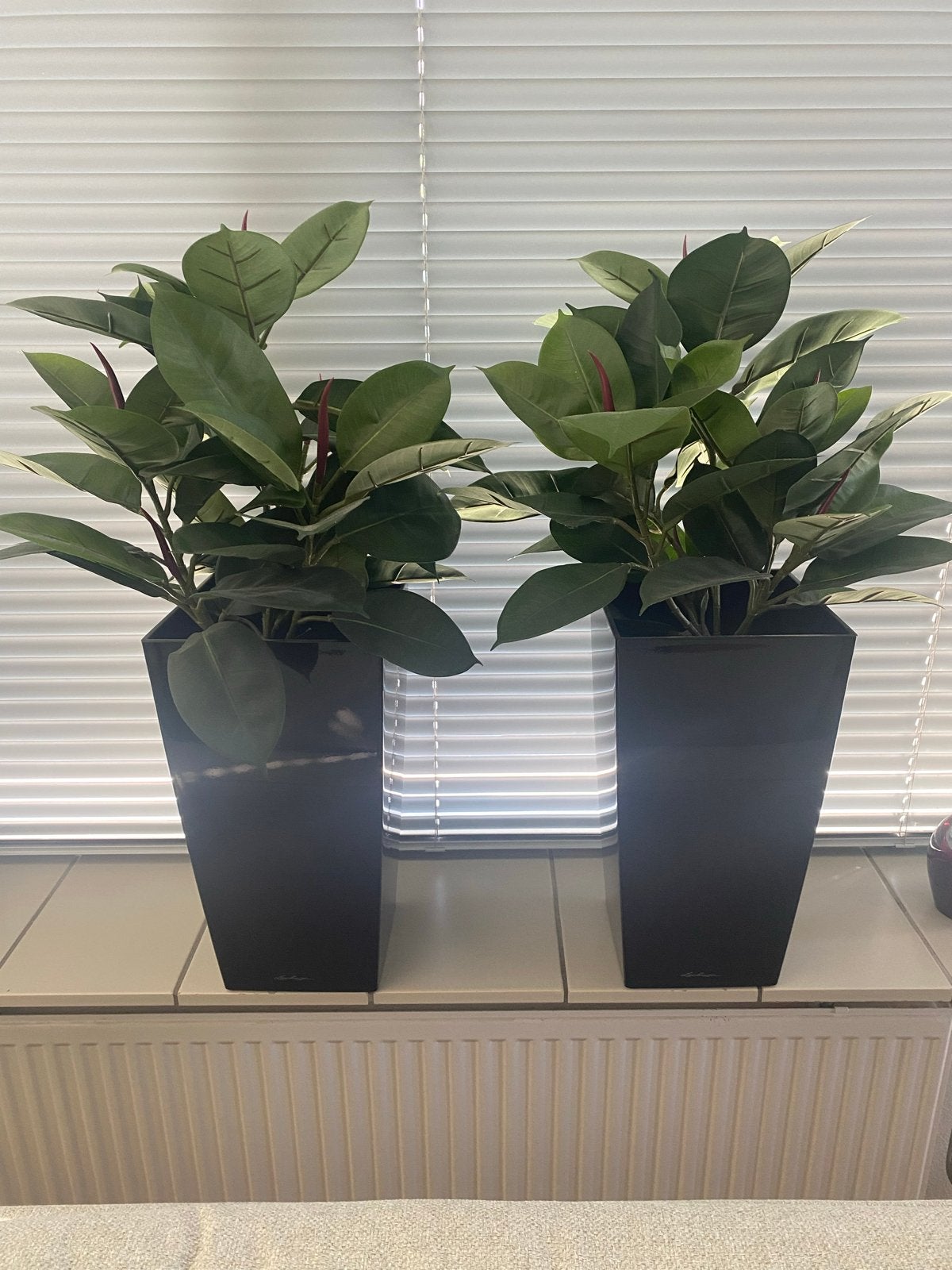 Diverse kunstplanten van Maxifleur, inclusief potten/vazen, Ophalen, Binnen, Groen, Kunstplant