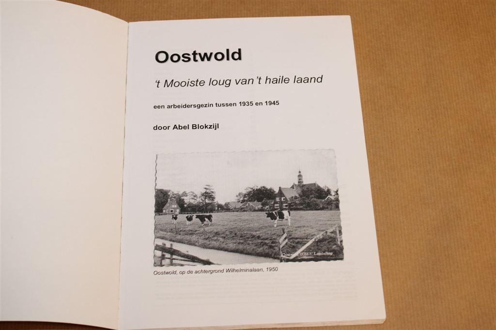 Oostwold — Arbeidersgezin 1935-1945, Boeken, Ophalen of Verzenden, Gelezen