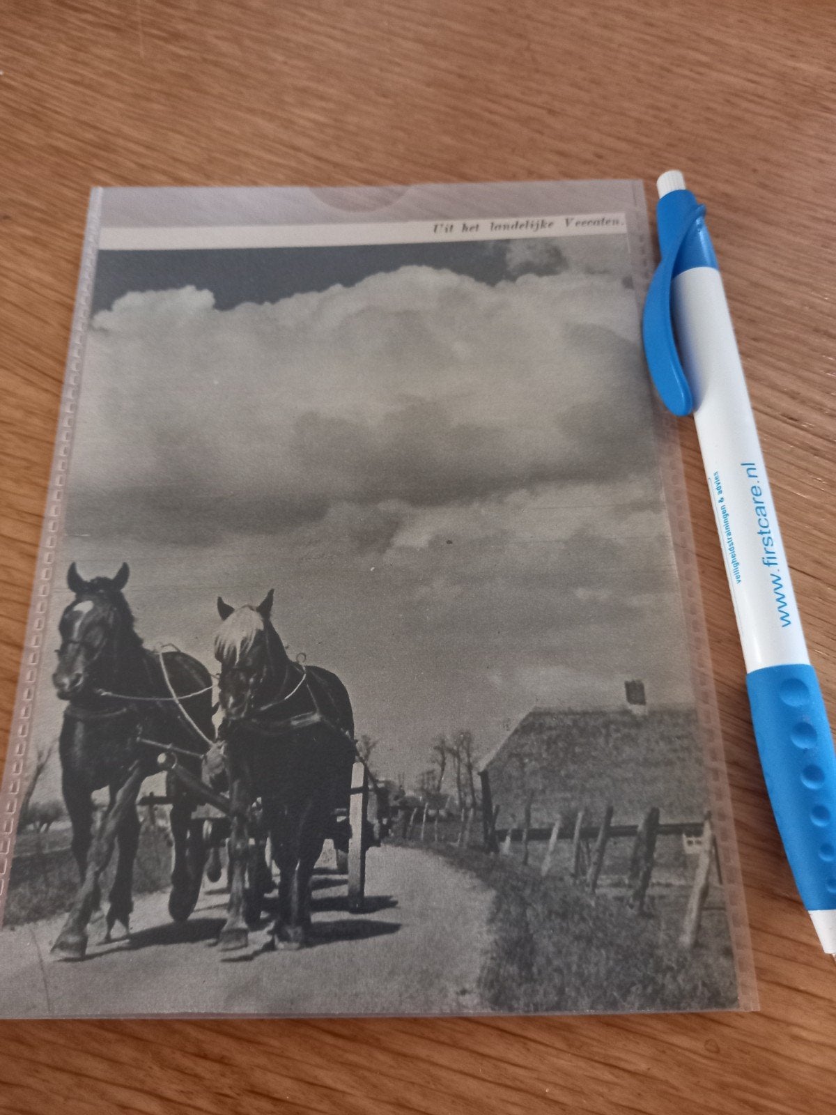 Veecaten, Ophalen of Verzenden, Voor 1940, Gebruikt
