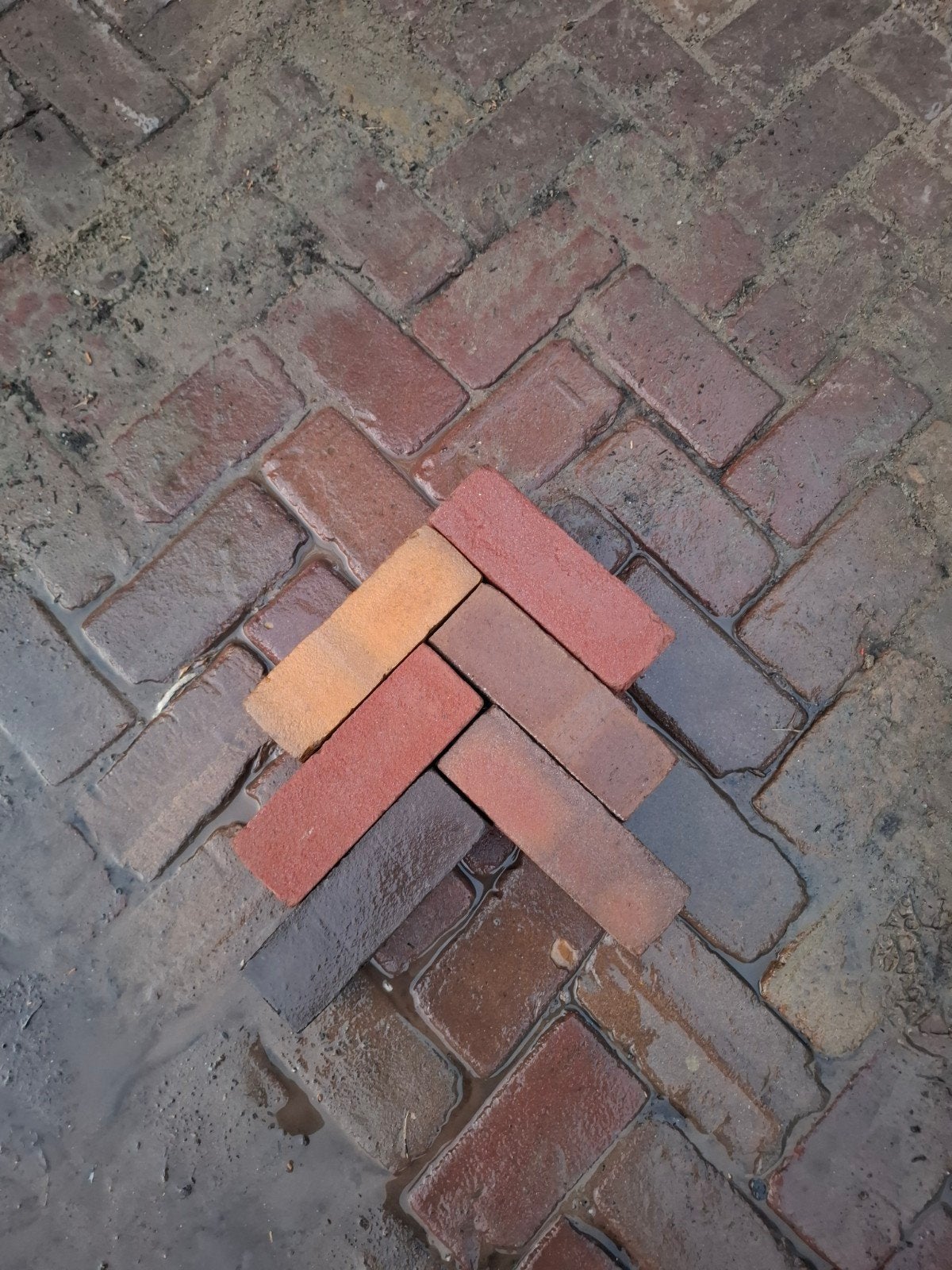 75m² gebakken dikformaat bont, nieuw, op pallet, Ophalen of Verzenden, Nieuw, Beton, Terrastegels