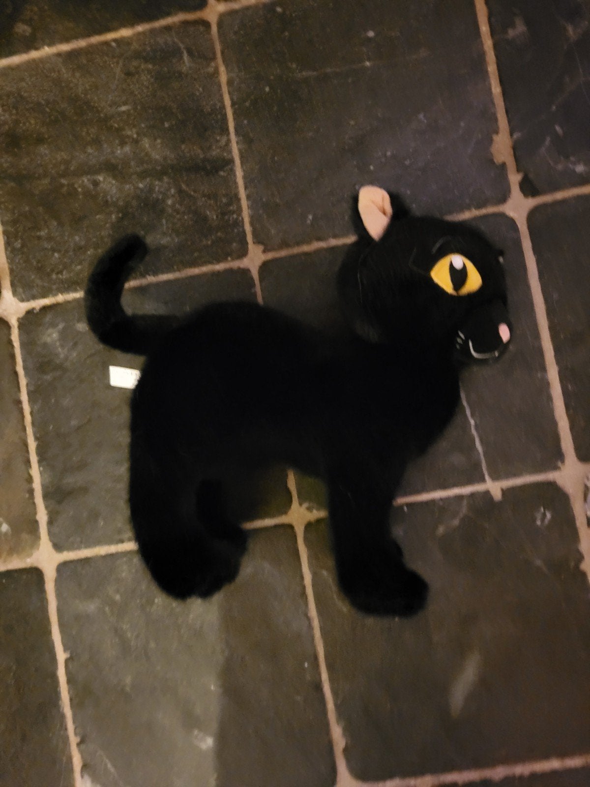 Danse Macabre Kat Knuffel, Verzamelen, Ophalen of Verzenden, Zo goed als nieuw