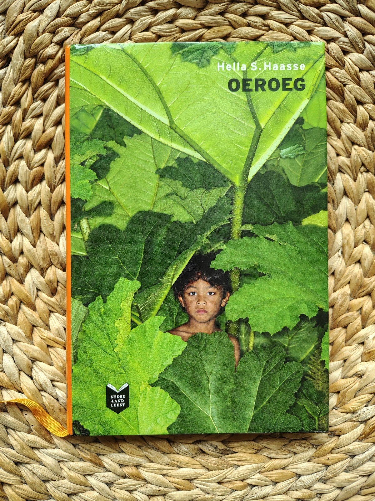 Hella S. Haasse - Oeroeg, Ophalen of Verzenden, Zo goed als nieuw
