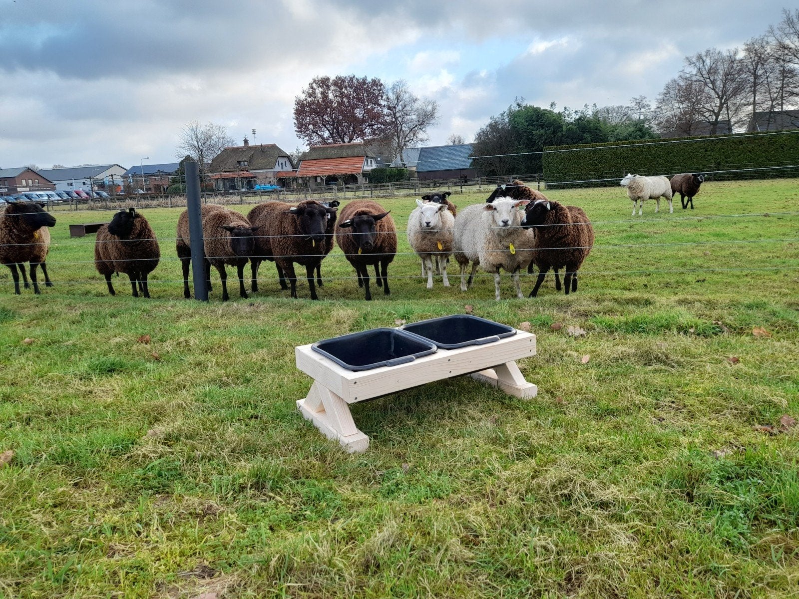 Landelijke voerbak 3 STUKS, Dieren en Toebehoren, Meerdere dieren, Schaap