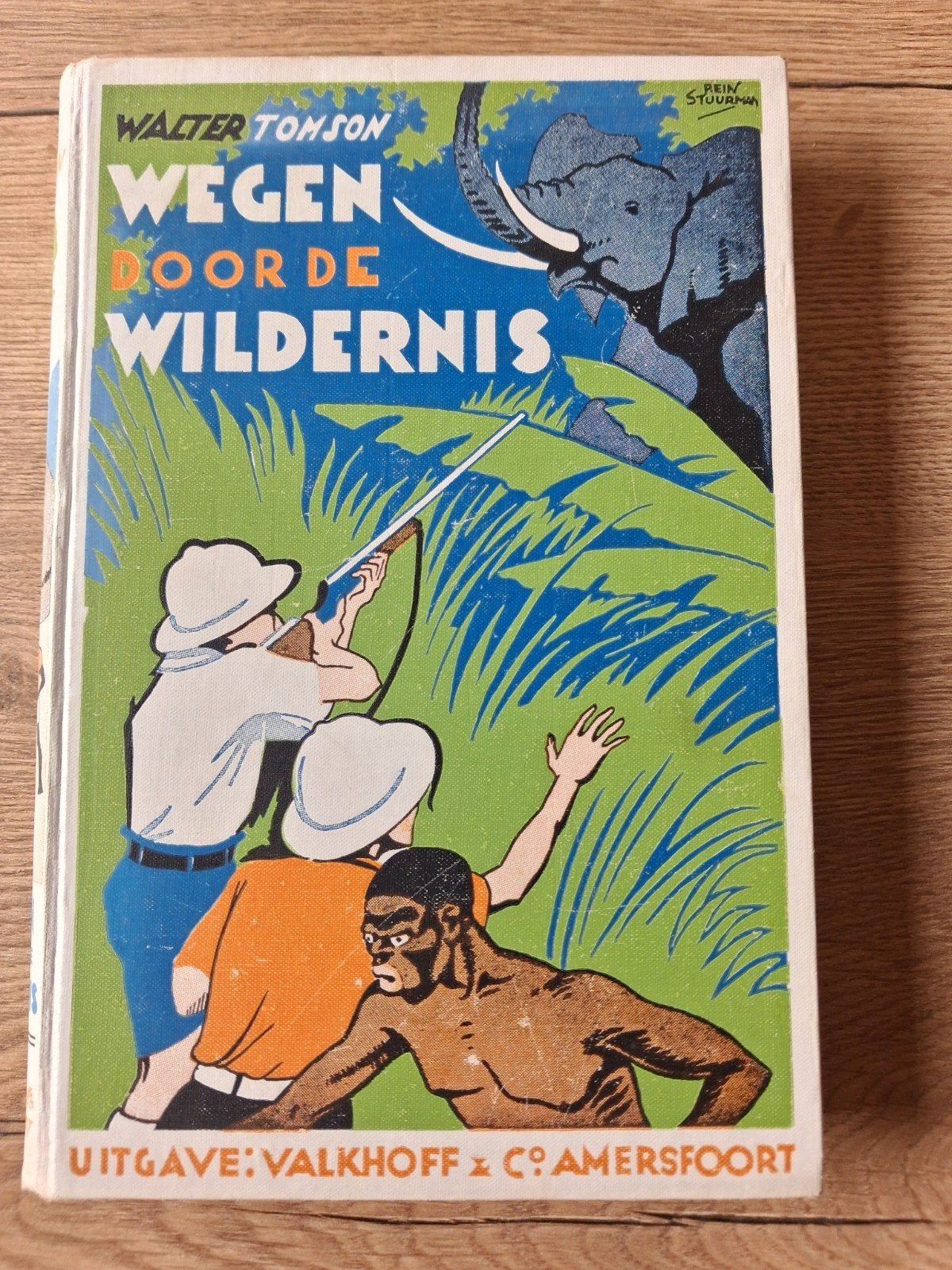 Wegen door de Wildernis - Walter Tomson - Rein Stuurman, Ophalen, Gelezen, Walter Tomson