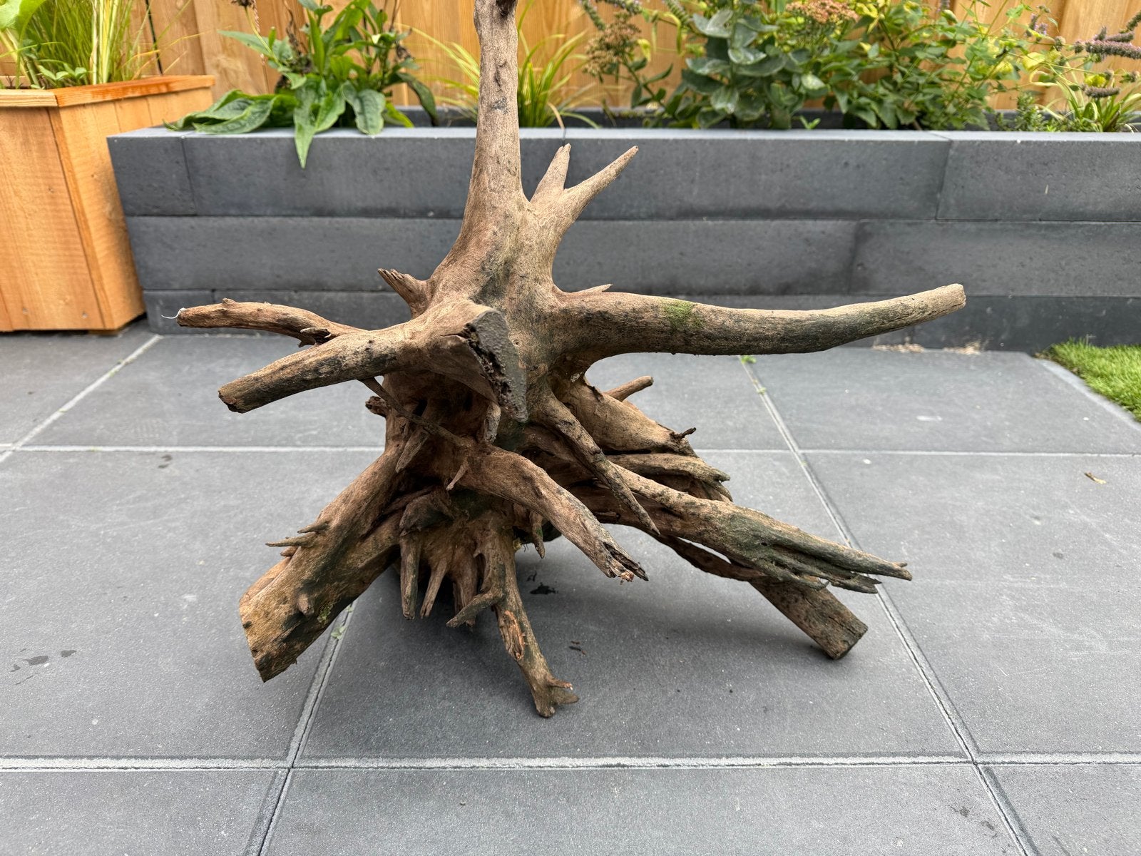 Aquarium decoratie hout en steen, Ophalen