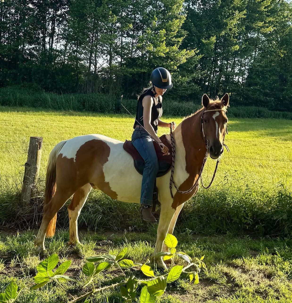 Bijrijder/ leaser aangeboden., Dieren en Toebehoren, Paarden en Pony's | Overige Paardenspullen, Ophalen of Verzenden, Nieuw, Western