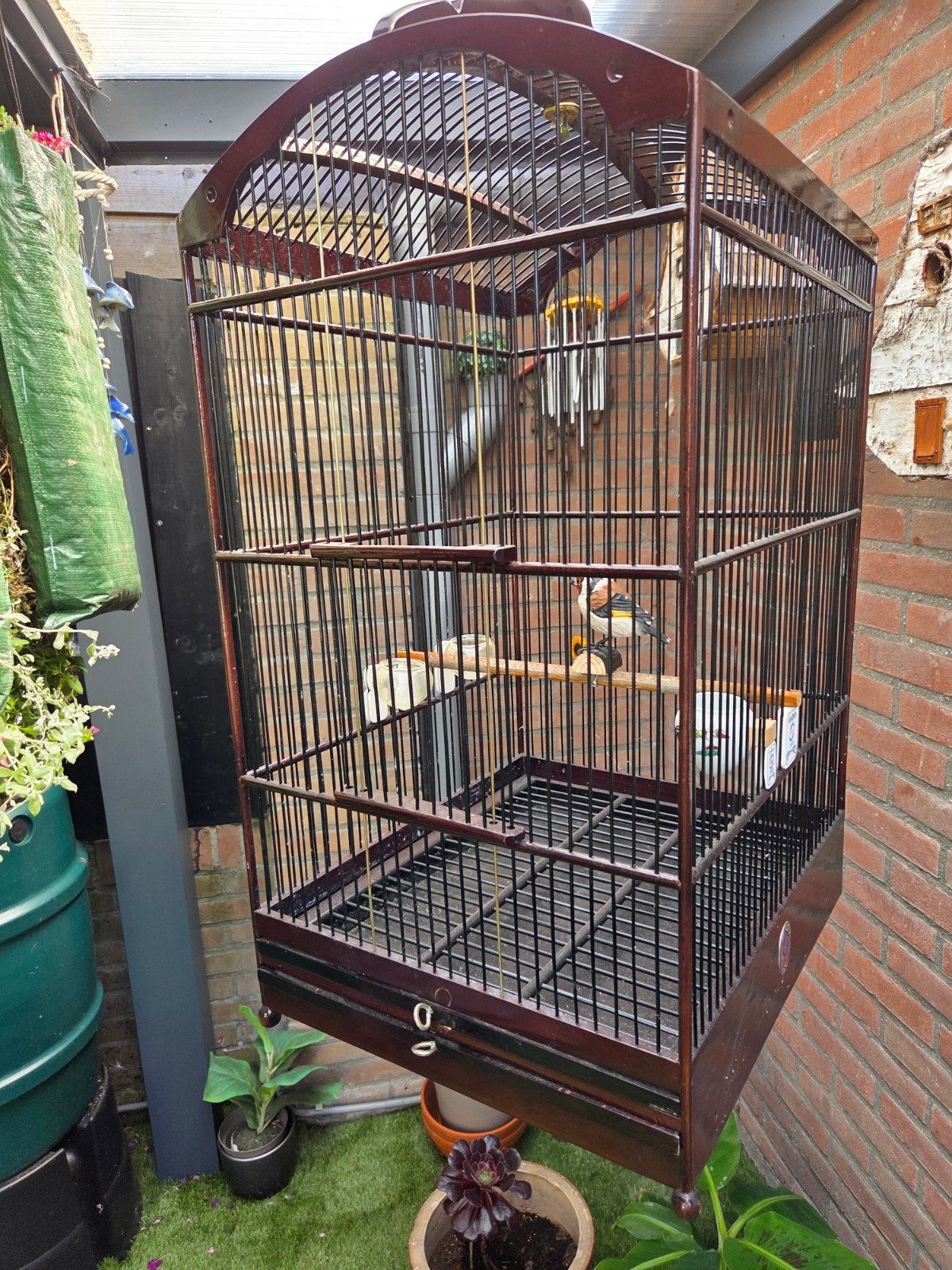 Zangkooi, Dieren en Toebehoren, Ophalen, Nieuw, Hout, Vogelkooi