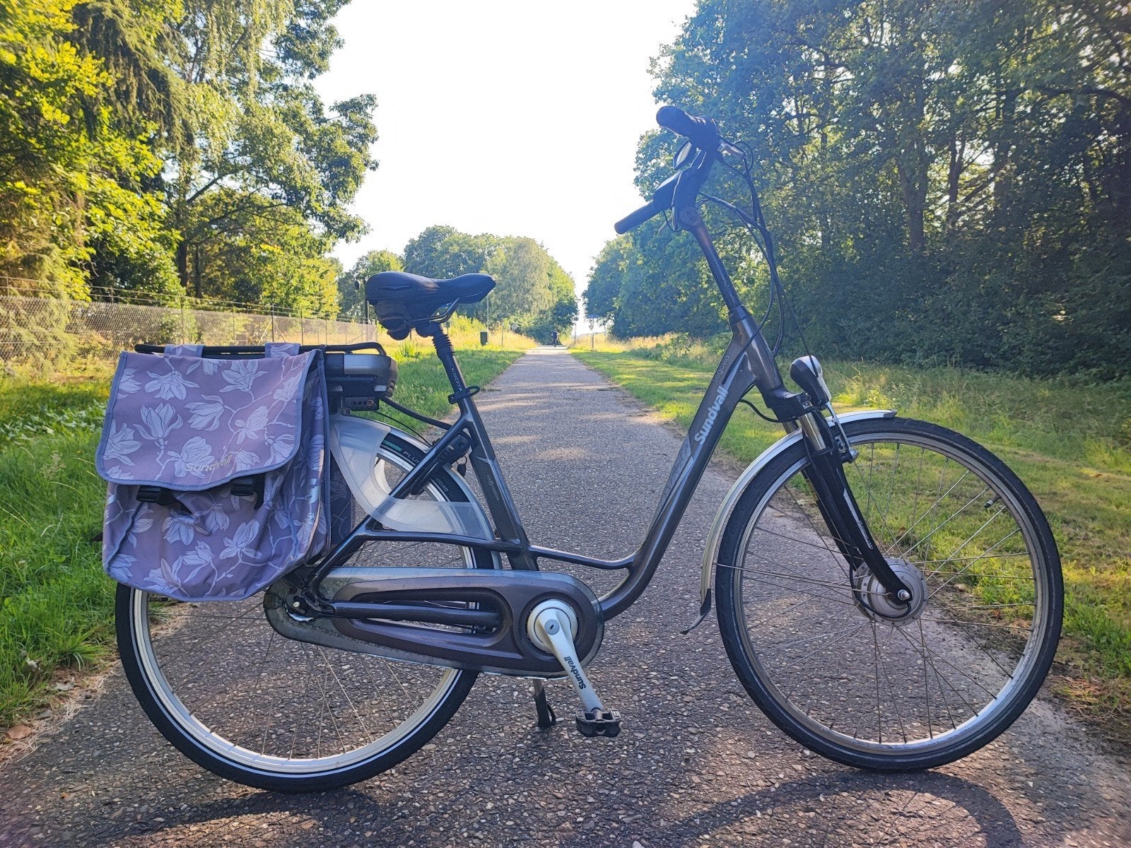 Elektrische Fiets - actieradius 120-125 km - Frame 49 cm, Zo goed als nieuw, 47 tot 51 cm, 50 km per accu of meer, Ophalen