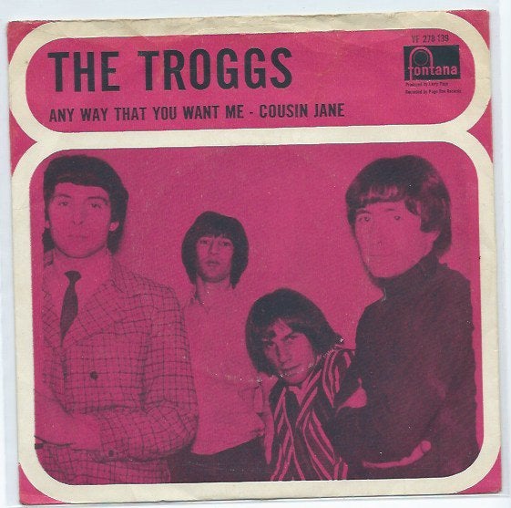 The Troggs- Any way thgat you want Me