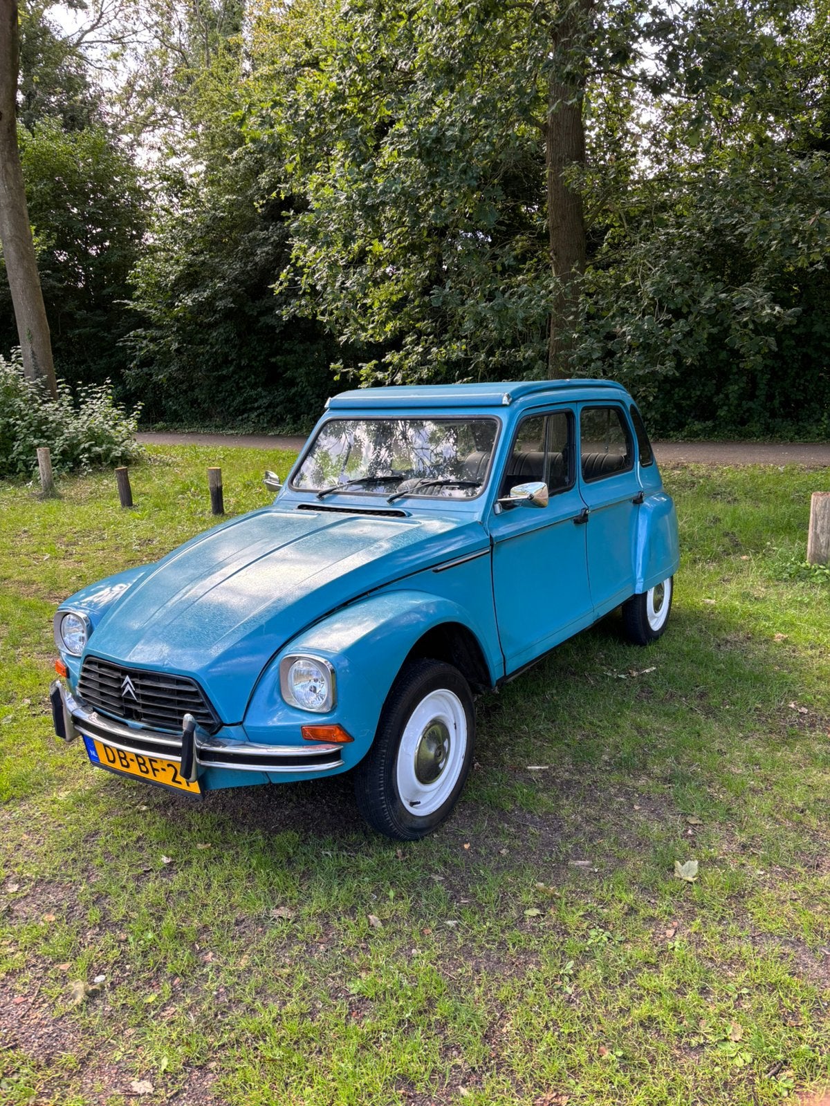 Citroën Dyane 1981, 602 cc, 595 kg, Blauw, Handgeschakeld