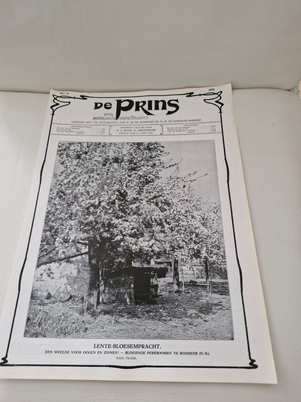 Voorblad 'De Prins' - Lente-Bloesempracht 1929, Ophalen of Verzenden