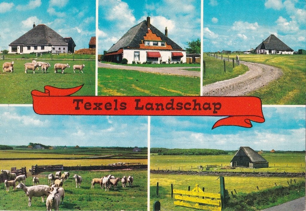 Texel – collage - kleur – gelopen - 1972, Verzenden, 1960 tot 1980, Gelopen, Waddeneilanden