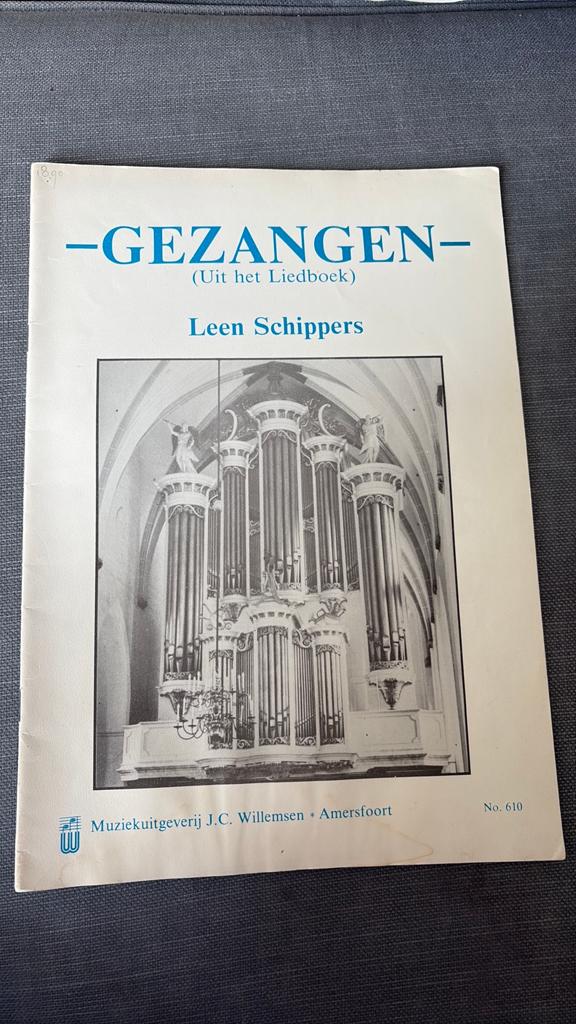 Gezangen Leen Schippers, Ophalen of Verzenden, Zo goed als nieuw, Les of Cursus, Klassiek