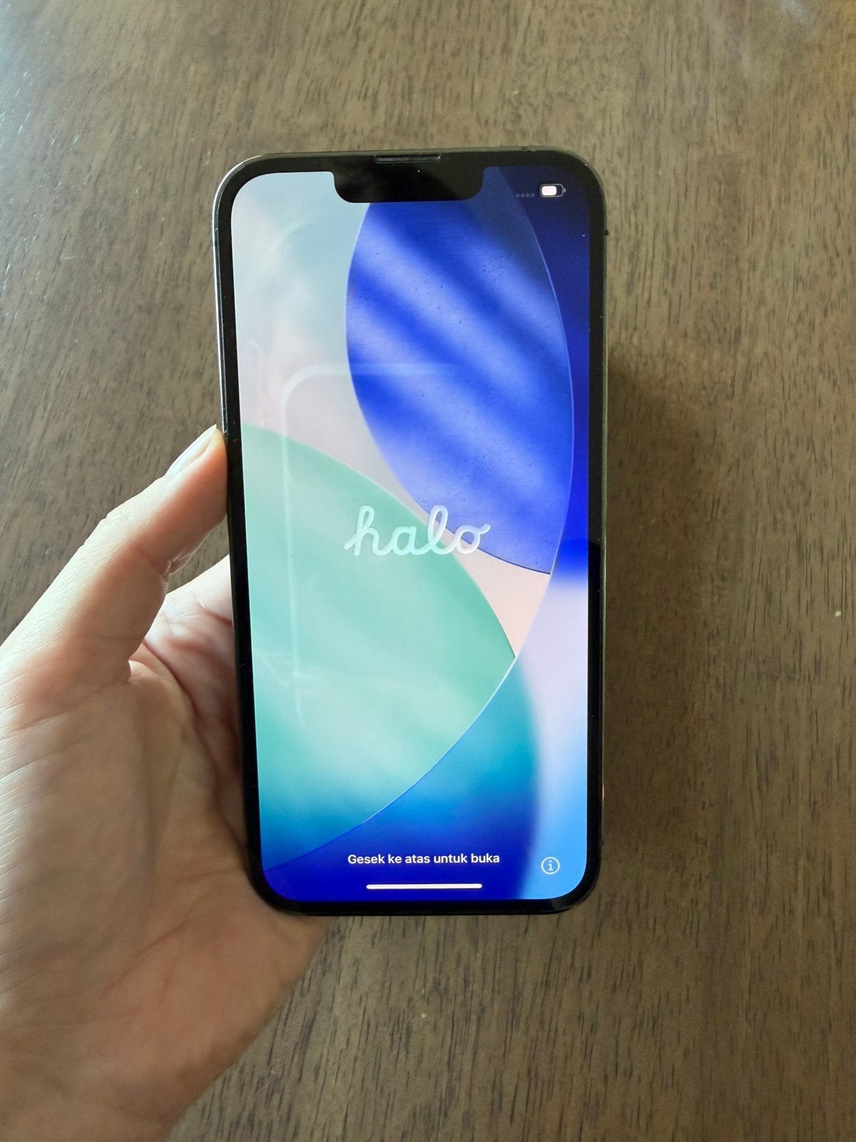 iPhone 13 Pro 256 GB in Graphite, Telecommunicatie, Mobiele telefoons | Apple iPhone, Zo goed als nieuw, 76 %, IPhone 13 Pro, Zonder simlock