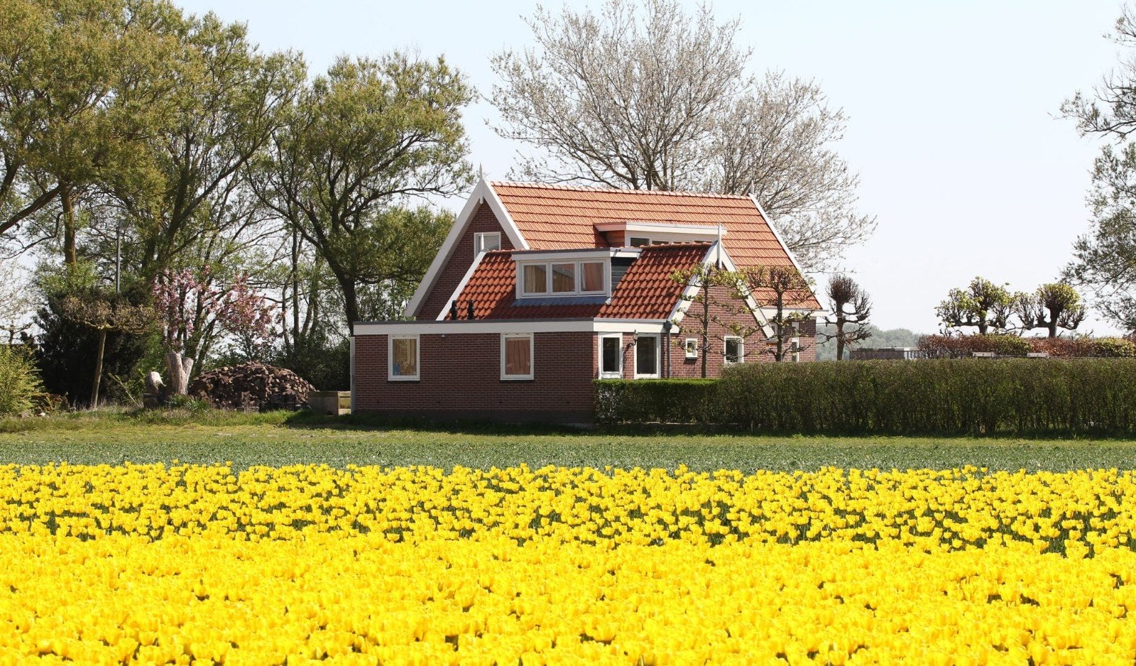 Vakantiehuis Callantsoog aan zee., Vakantie, Vakantiehuizen | Nederland, Noord-Holland, Chalet, Bungalow of Caravan, Landelijk