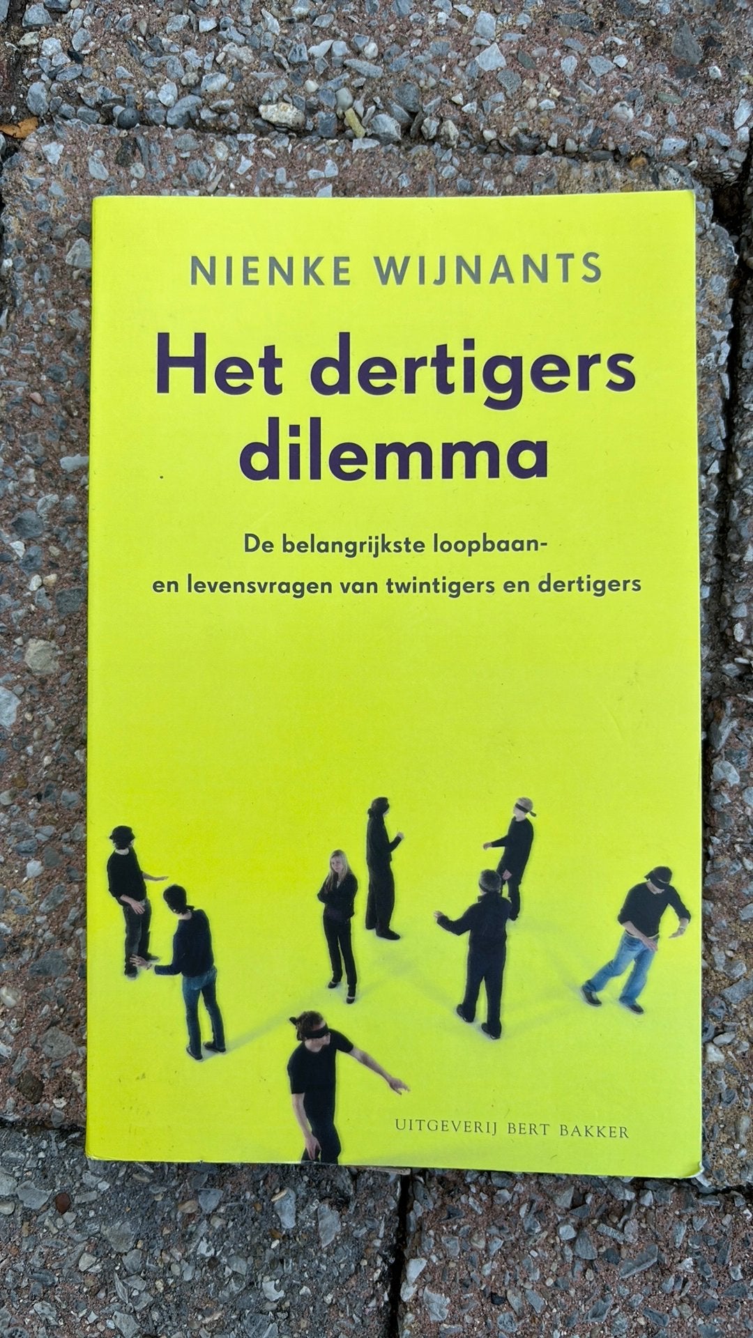 Nienke Wijnants - Het dertigersdilemma, Ophalen of Verzenden, Ontwikkelingspsychologie, Nienke Wijnants, Zo goed als nieuw