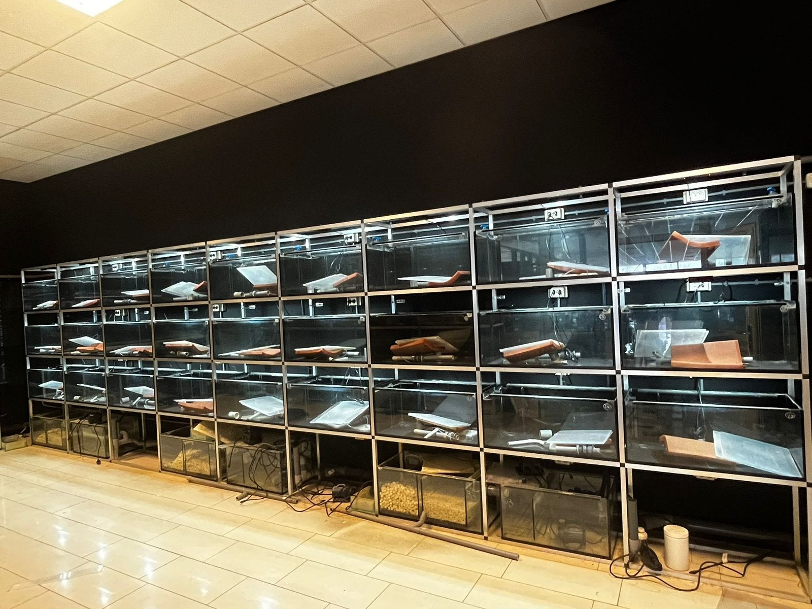 Complete aquariumstelling met biologen, Dieren en Toebehoren, Ophalen, Overige merken, Zo goed als nieuw, Leeg aquarium