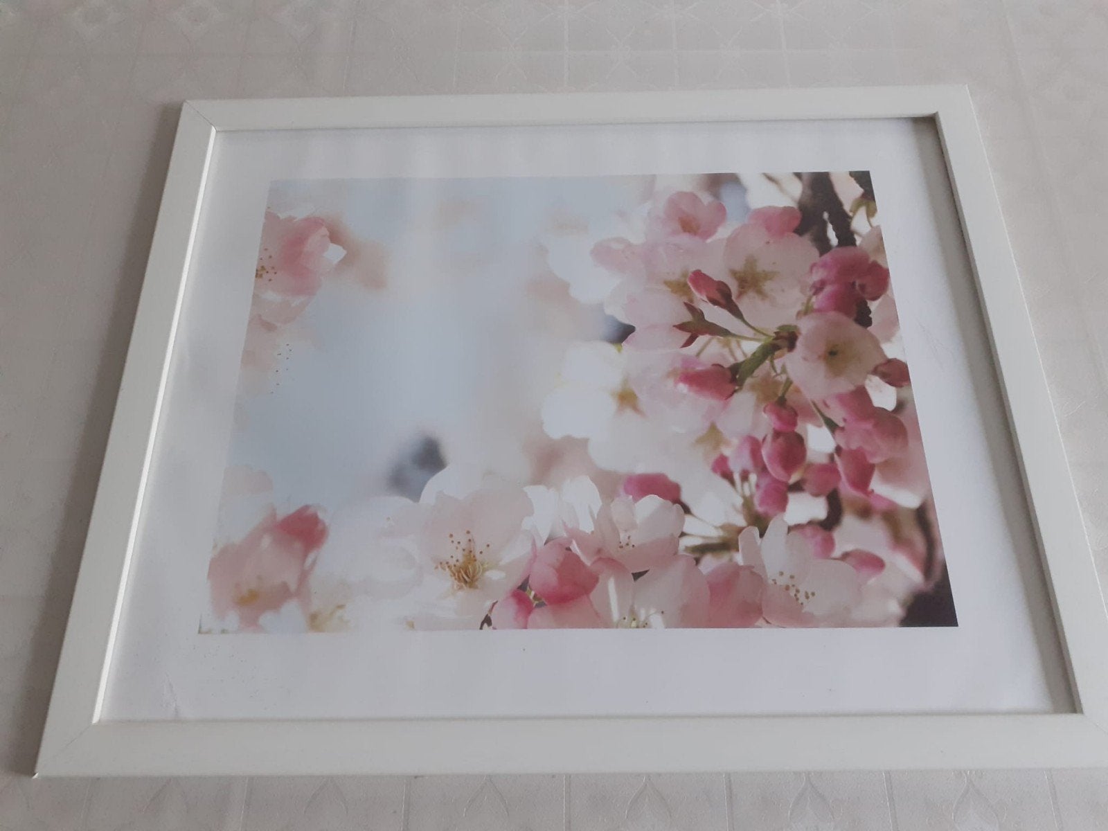 Ikea fotolijst wit 54x50 cm, Huis en Inrichting, Ophalen of Verzenden, Gebruikt, Wit, Fotolijst
