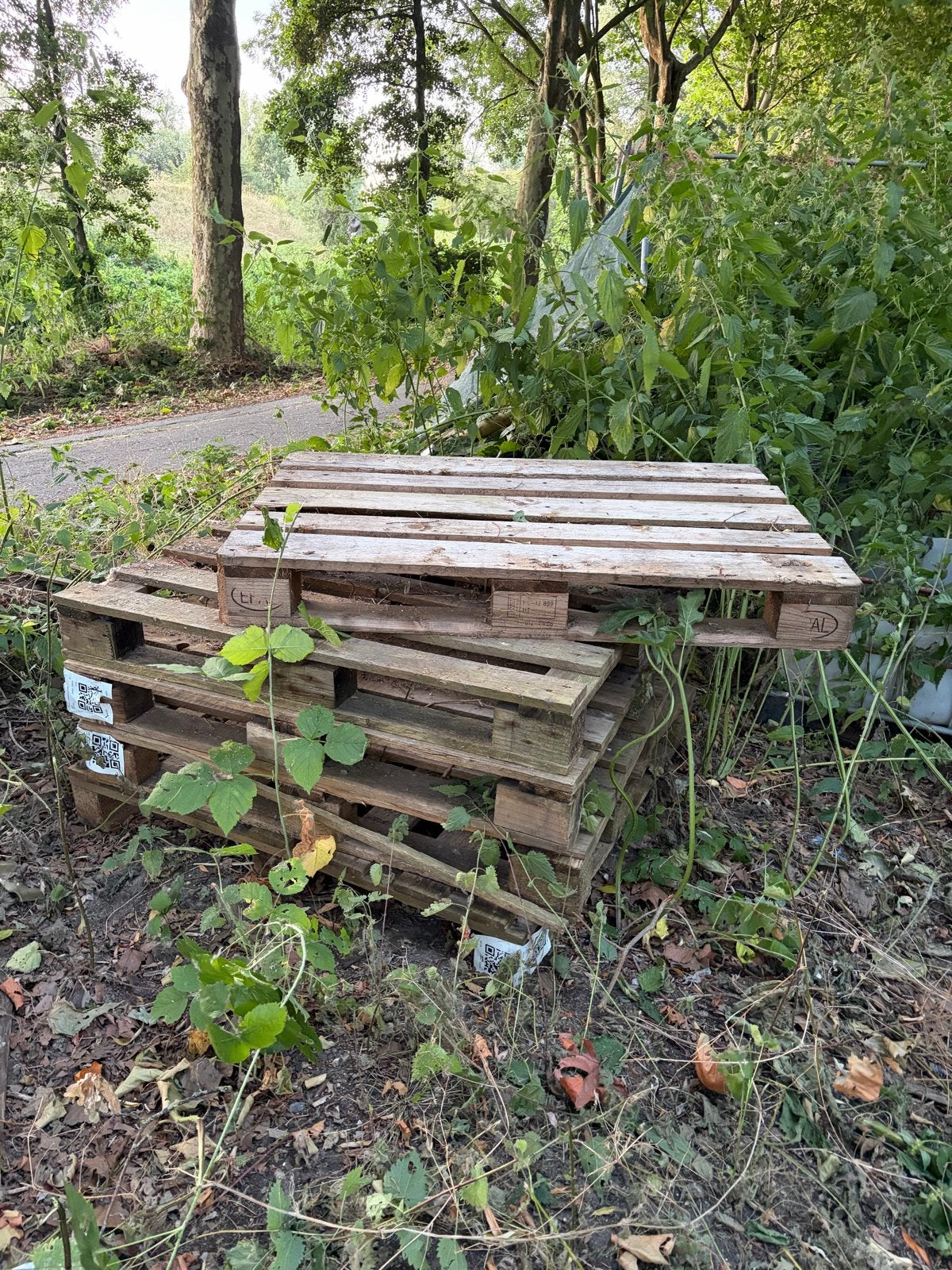 Gebruikte pallets voor diverse doeleinden, Ophalen, Gebruikt, 50 mm of meer, Pallet