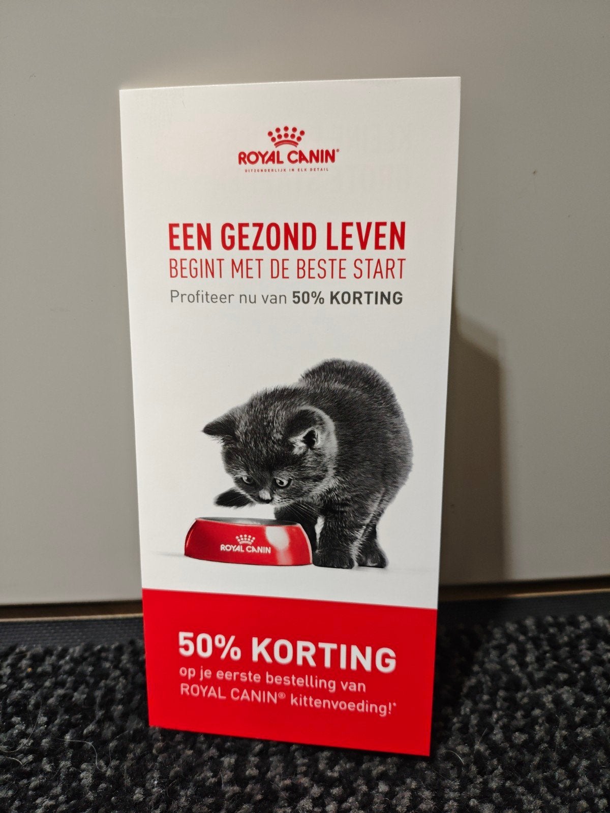 Royal Canin kortingscode 50% kittenvoer. kattenvoer, Dieren en Toebehoren, Dierenvoeding, Kat, Ophalen of Verzenden
