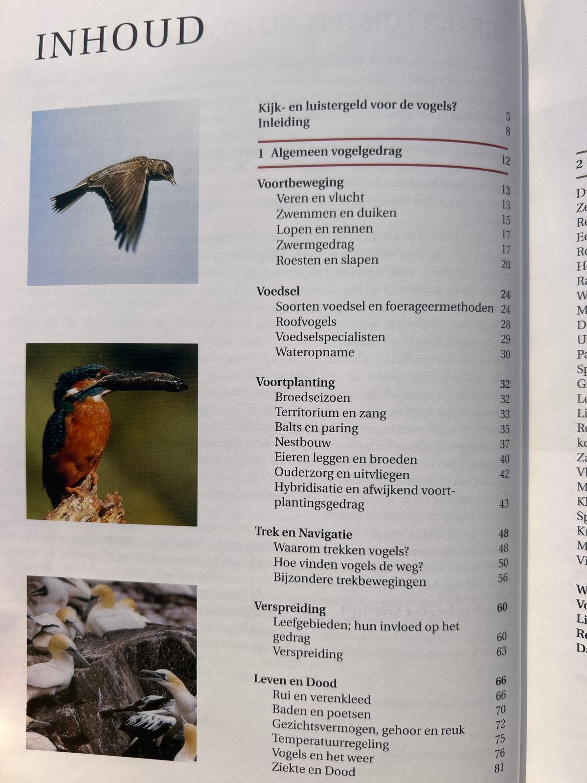 Vogelgedrag - Stephen Moss (Vogelbescherming), Ophalen of Verzenden, Zo goed als nieuw, Vogels