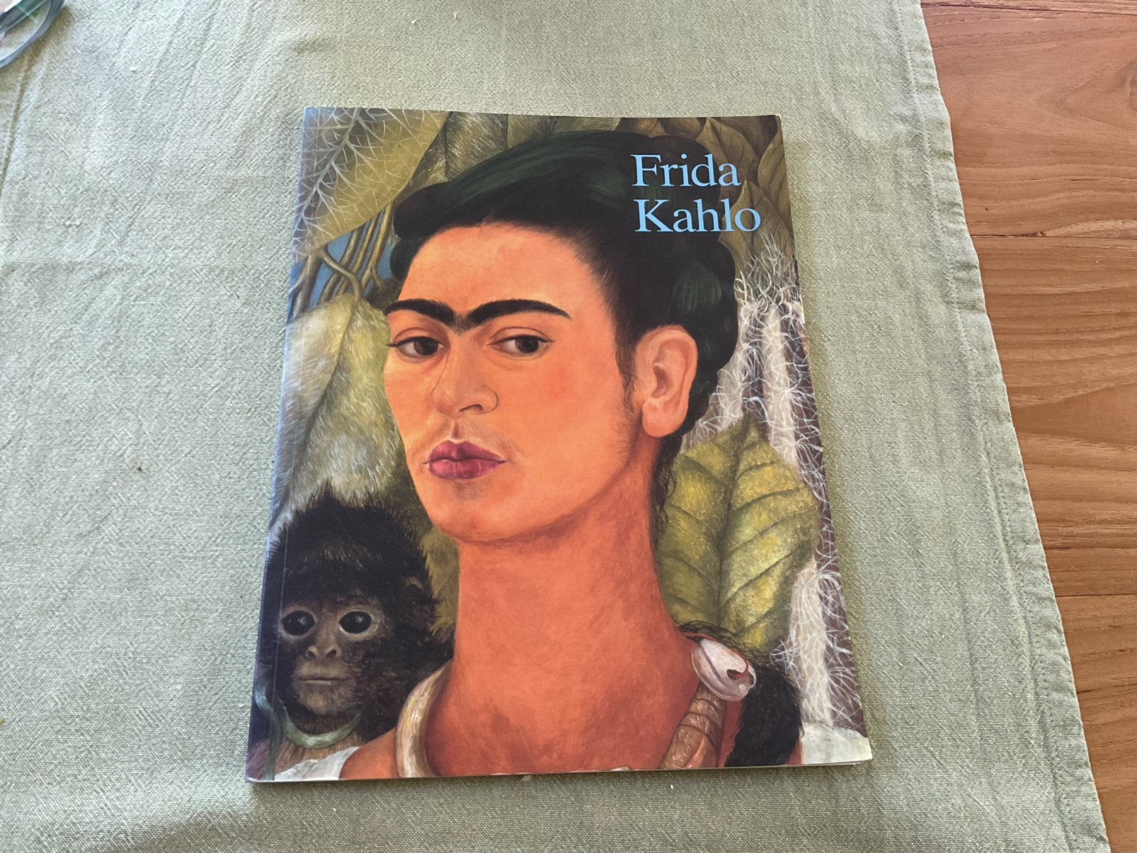 Leven en werk van Frida Kahlo, Antiek en Kunst, Kunst | Schilderijen | Klassiek, Ophalen of Verzenden