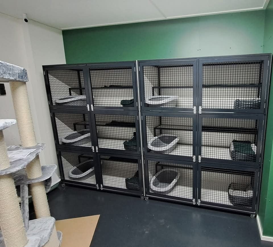 kattenren op maat, Dieren en Toebehoren, Katten-accessoires, Ophalen, Nieuw