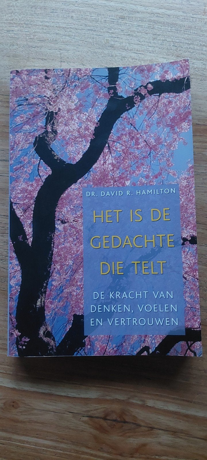 Het is de gedachte die telt - Dr. David R. Hamilton, Ophalen of Verzenden, Zo goed als nieuw