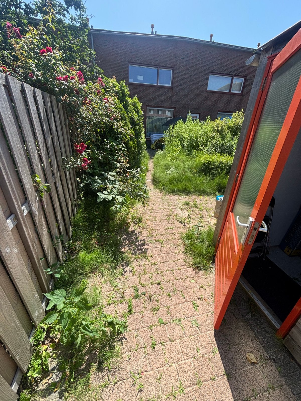 Tuin onderhoud, Ophalen of Verzenden