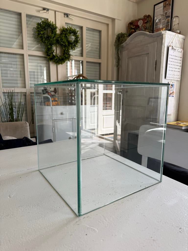 Glazen vitrine display, Minder dan 50 cm, Gebruikt, Ophalen of Verzenden, Glas