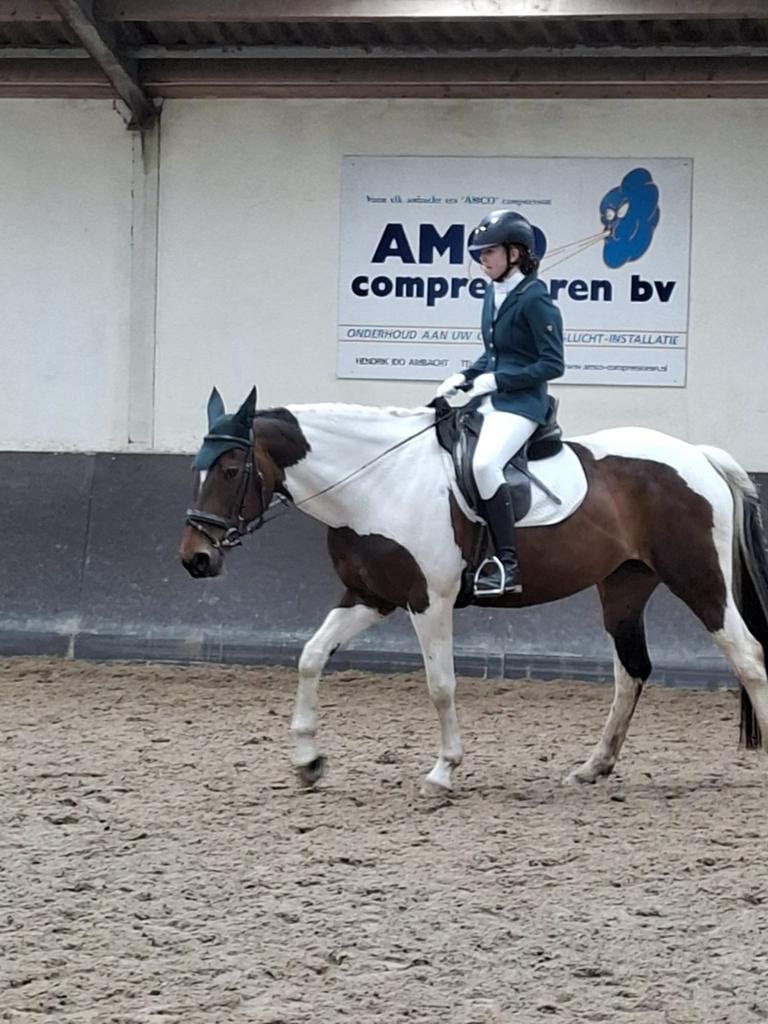 Lease paard gezocht, Ophalen