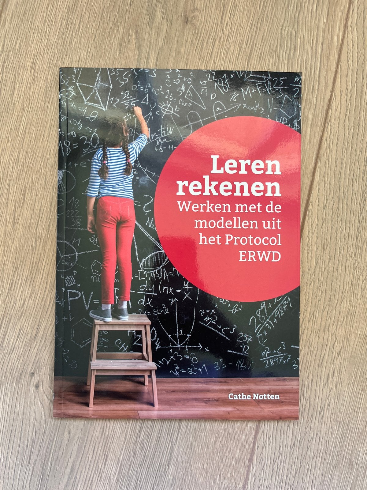 Leren rekenen: Werken met modellen uit Protocol ERWD, Ophalen of Verzenden, Beta, Zo goed als nieuw, HBO