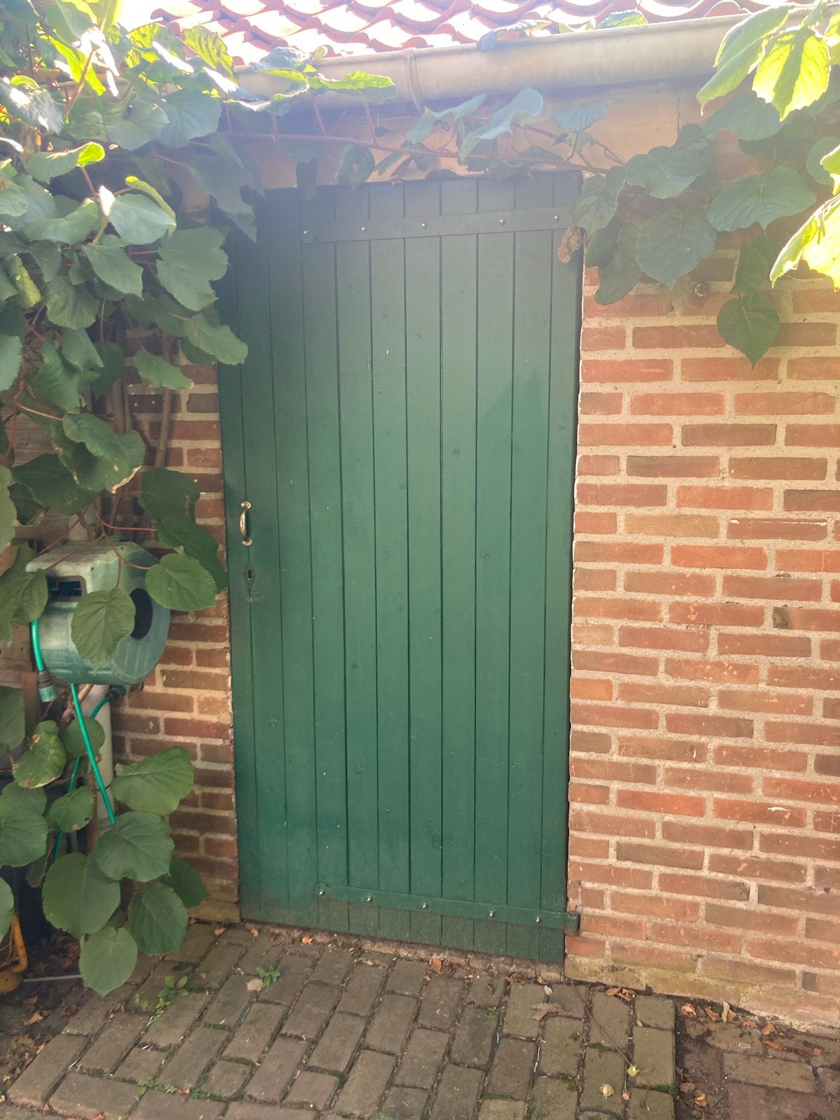 Groene houten buitendeur met hang- en sluitwerk, Doe-het-zelf en Verbouw, Ophalen, Gebruikt, 80 tot 100 cm, Buitendeur
