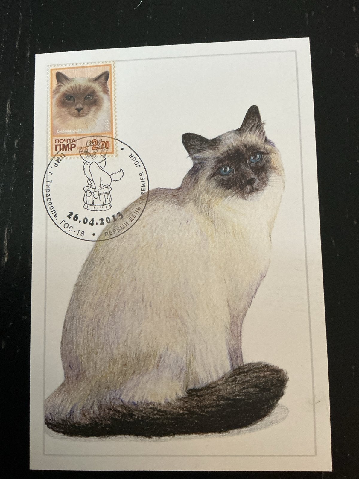 Set van 6 Russische katten ansichtkaarten (2013), Ophalen of Verzenden, 1980 tot heden, Ongelopen