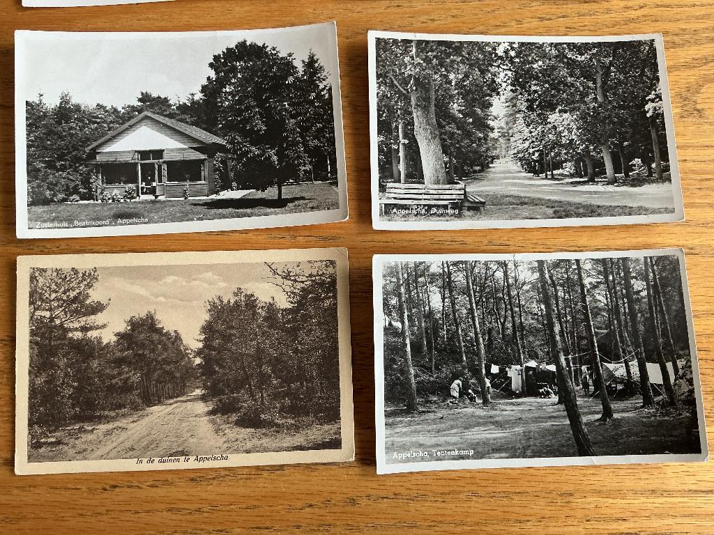 Appelscha 8 x, Verzenden, 1960 tot 1980, Gelopen, Friesland