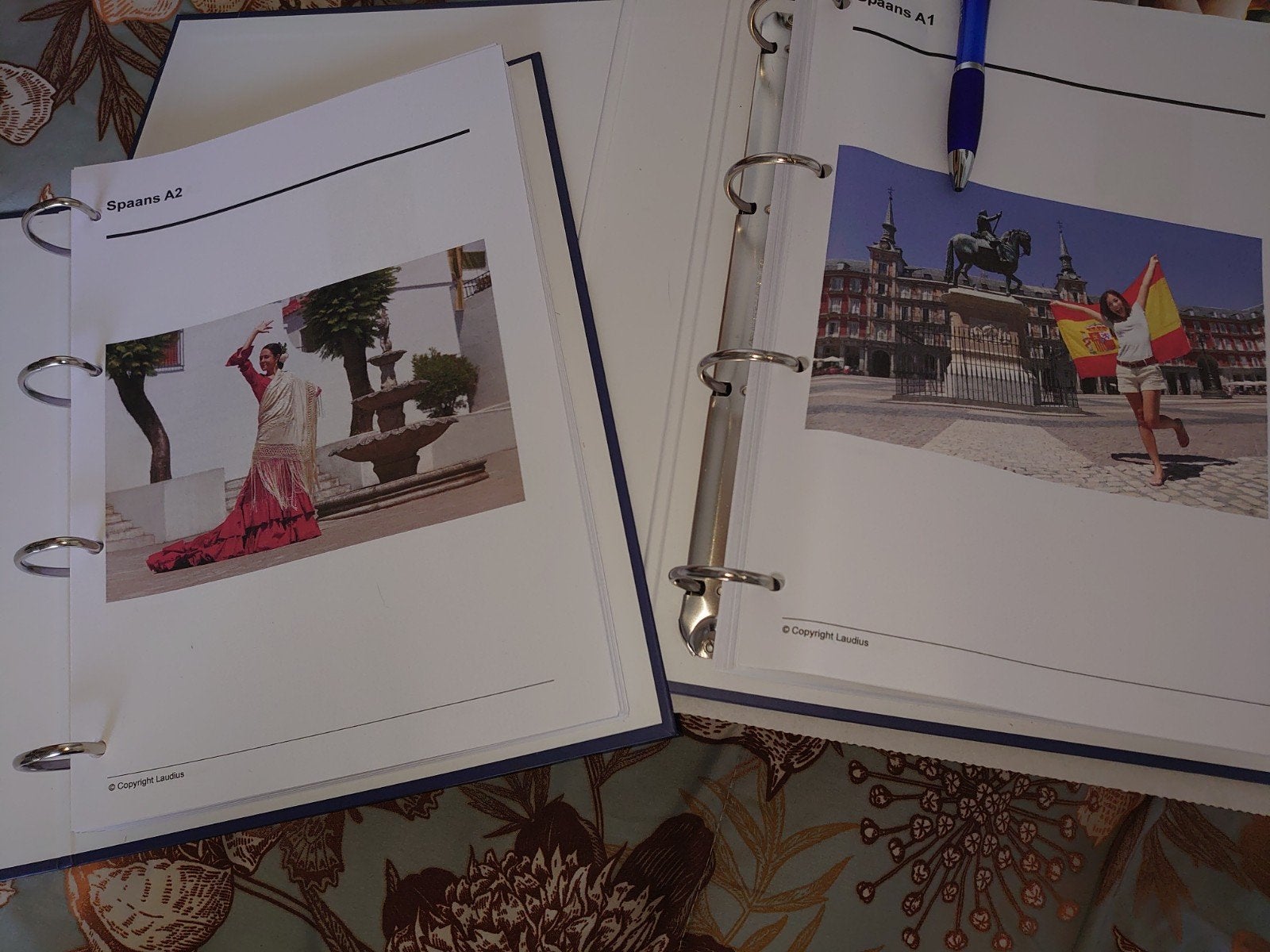 cursus Spaans voor beginners, Ophalen of Verzenden, Alpha, Nieuw, Niet van toepassing